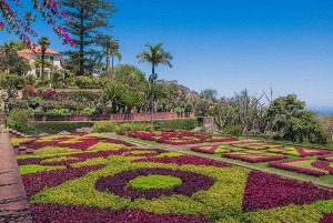 Wycieczka z przewodnikiem do ogrodu botanicznego (z Funchal)