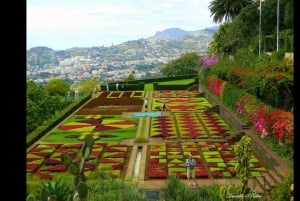 Wycieczka z przewodnikiem do ogrodu botanicznego (z Funchal)