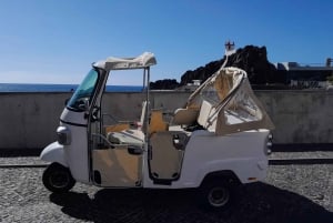 Wycieczka z przewodnikiem do ogrodu botanicznego (z Funchal)