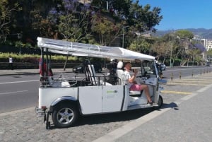 Wycieczka z przewodnikiem do ogrodu botanicznego (z Funchal)