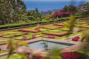 Wycieczka z przewodnikiem do ogrodu botanicznego (z Funchal)