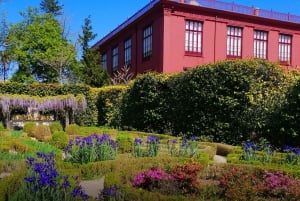 Wycieczka z przewodnikiem do ogrodu botanicznego (z Funchal)