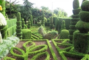 Wycieczka z przewodnikiem do ogrodu botanicznego (z Funchal)