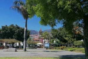 Wycieczka z przewodnikiem do ogrodu botanicznego (z Funchal)