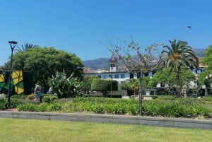 Wycieczka z przewodnikiem do ogrodu botanicznego (z Funchal)