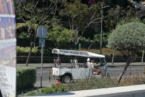 Wycieczka z przewodnikiem do ogrodu botanicznego (z Funchal)