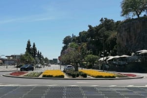 Wycieczka z przewodnikiem do ogrodu botanicznego (z Funchal)