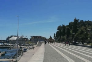 Wycieczka z przewodnikiem do ogrodu botanicznego (z Funchal)