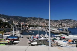 Wycieczka z przewodnikiem do ogrodu botanicznego (z Funchal)