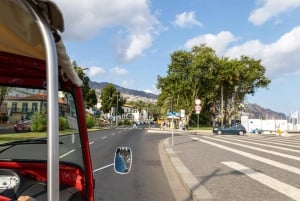 Funchal - Botanical Garden Tour by TukTuk (1h45)