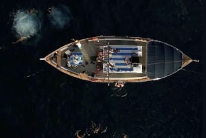 Funchal: Cabo Girão-tur på traditionell båt med dryck