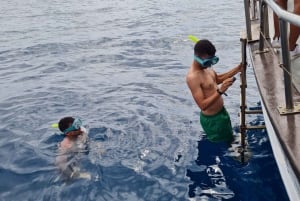 Funchal: Cabo Girão-tur på traditionell båt med dryck