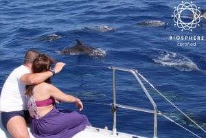 Funchal: Cabo Girão, Wines Tasting and Dolphins Watching