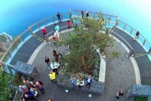 Funchal: Cabo Girão, Wines Tasting and Dolphins Watching