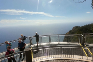Funchal: Cabo Girão, degustazione di vini e osservazione dei delfini
