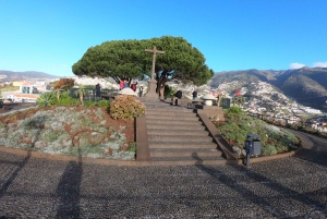 Funchal: Cabo Girão, degustazione di vini e osservazione dei delfini