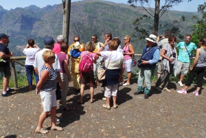 Funchal: Cabo Girão, degustazione di vini e osservazione dei delfini