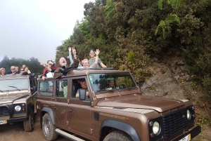 Funchal: Cabo Girão, degustazione di vini e osservazione dei delfini