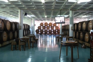 Funchal: Cabo Girão, degustazione di vini e osservazione dei delfini