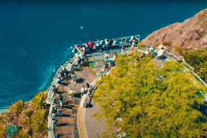 Funchal: Cabo Girão, degustazione di vini e osservazione dei delfini