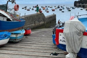 Funchal: Câmara de Lobos Bahía de Churchill Tuk Tuk guiado