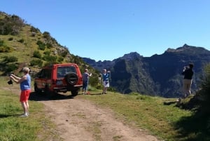 Funchal: Câmara Lobos & Girão Sea Cliff Half-Day Jeep Tour