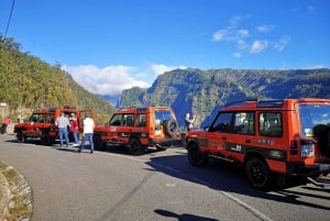 Funchal: Câmara Lobos & Girão Sea Cliff Half-Day Jeep Tour