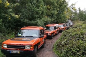 Funchal: Câmara Lobos & Girão Sea Cliff Half-Day Jeep Tour