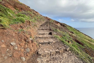 Funchal: Caniçal Transfer for PR8 Hike São Lourenco
