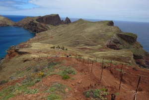 Funchal: Caniçal Transfer for PR8 Hike São Lourenco