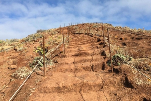 Funchal: Caniçal Transfer for PR8 Hike São Lourenco