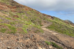 Funchal: Caniçal Transfer for PR8 Hike São Lourenco