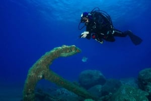 Funchal: Certified Scuba Diving, Guided Tour