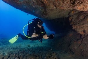 Funchal: Certified Scuba Diving, Guided Tour