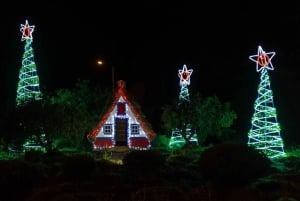 Funchal - Christmas Lights By TukTuk (1h)