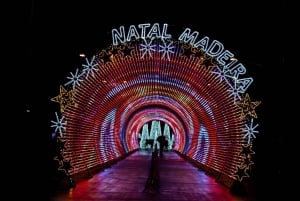 Funchal - Christmas Lights By TukTuk (1h)