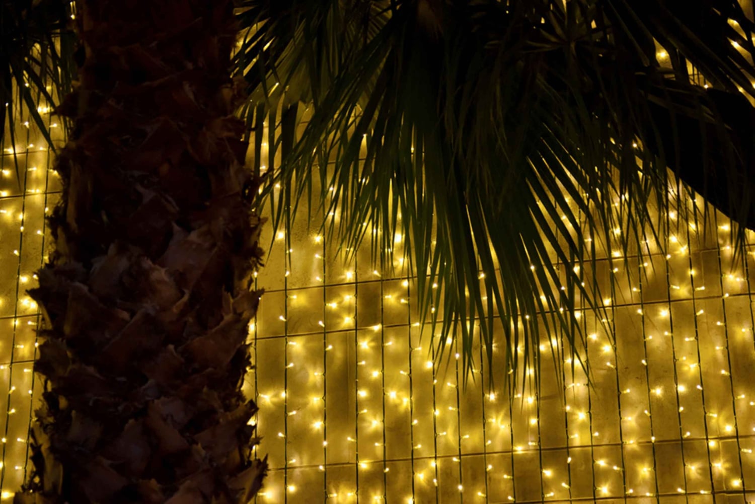 Funchal: Guidet tuk-tuk-tur med julebelysning