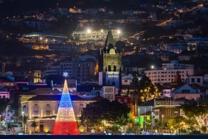 Funchal: Guidet tuk-tuk-tur med julebelysning
