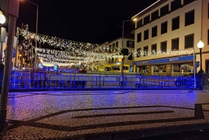 Funchal: Christmas Lights Sightseeing Night Tour