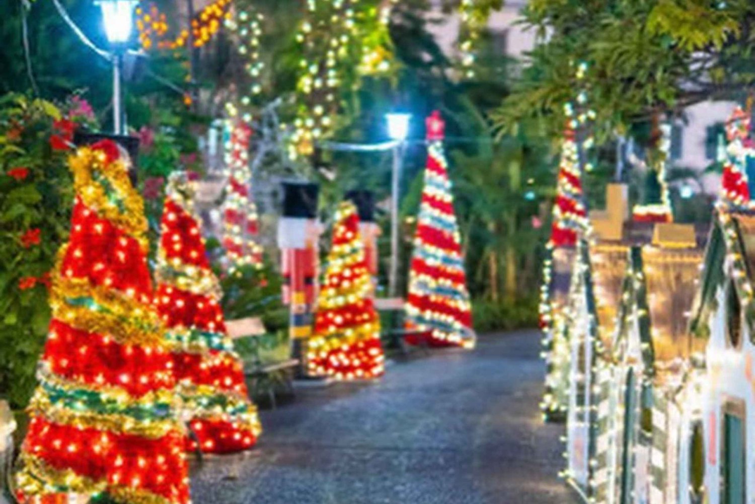 Funchal: Christmas Lights Tuk-Tuk Tour Experience by MadTuk