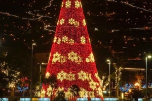 Funchal: Christmas Lights Tuk-Tuk Tour Experience by MadTuk