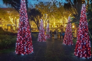 Funchal: Christmas Lights Tuk-Tuk Tour Experience by MadTuk