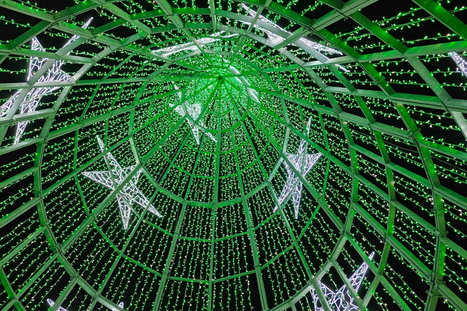 Funchal: Christmas Lights Tuk Tuk Tour