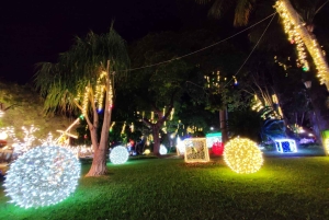 Funchal: Christmas Lights Tuk Tuk Tour