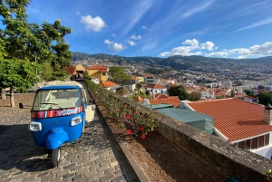 Funchal: Tuk-Tuk byrundvisning med højdepunkter