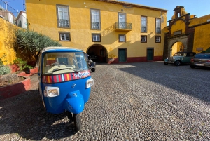 Funchal: Tuk-Tuk byrundvisning med højdepunkter
