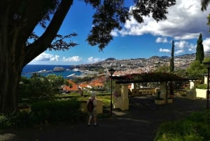 Funchal: City Tour in a Tukxi