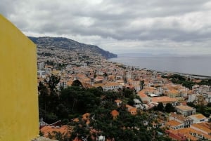 Funchal: City Tour in a Tukxi