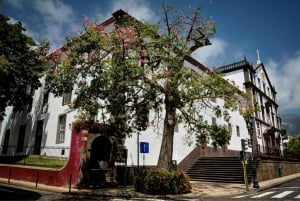 Funchal: City Tour in a Tukxi