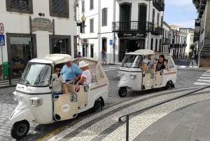 Funchal: City Tour in a Tukxi